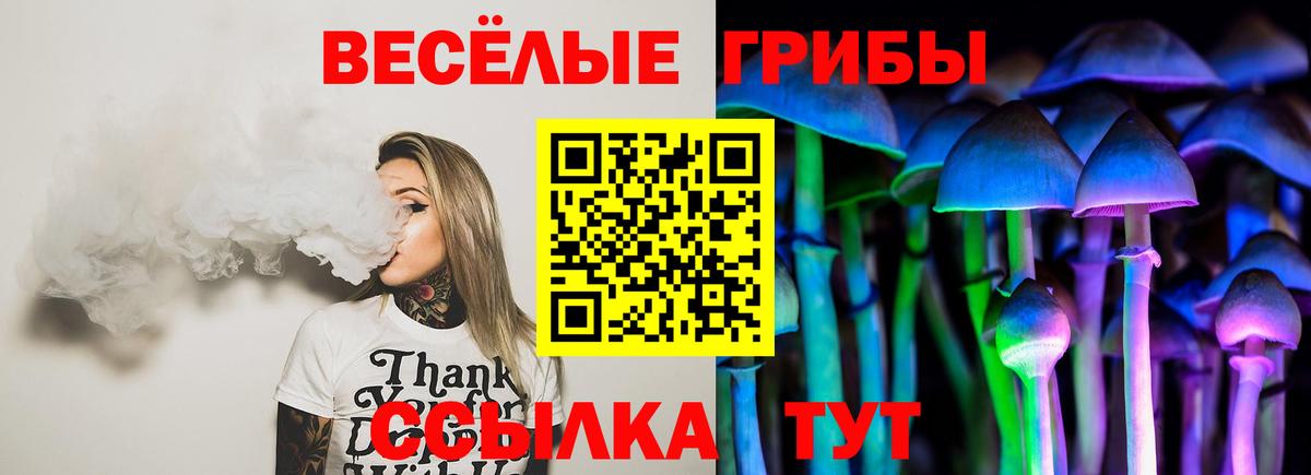Псилоцибиновые грибы Cubensis  Вход с VPN  Гатчина 